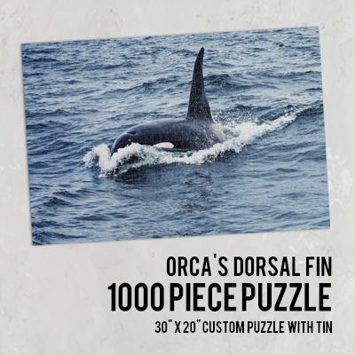 Design Your 1000 Piece Puzzle with images from our sea life library of images.