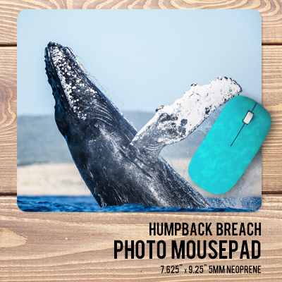 Design Your Mouse Pad with images from our sea life library of images.