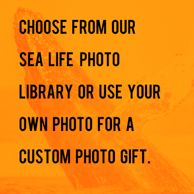 Help preserve the oceans with a special sea life photograph
