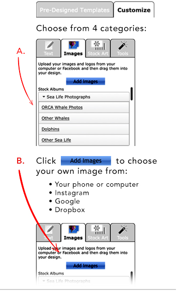 orcastrong-how-to-03_06.jpg