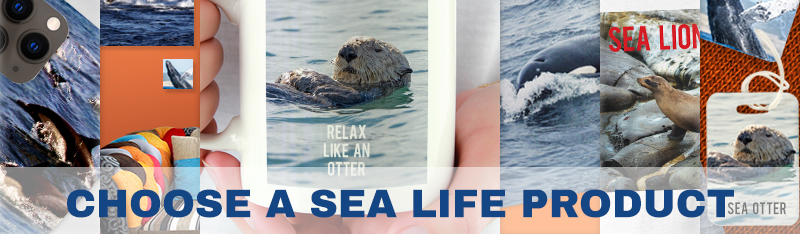 Choose a Sea Life Product and we'll donate 15% to Save the Whales