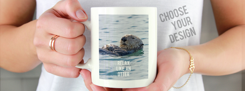 Choose one of our sea life photos or make your own custom puzzle or other photo gift.