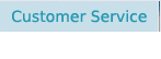 Customer Service